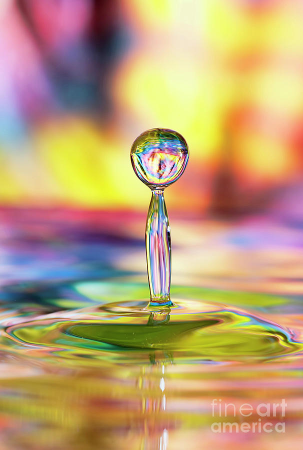 Colorful Splash Photograph by Darren Fisher