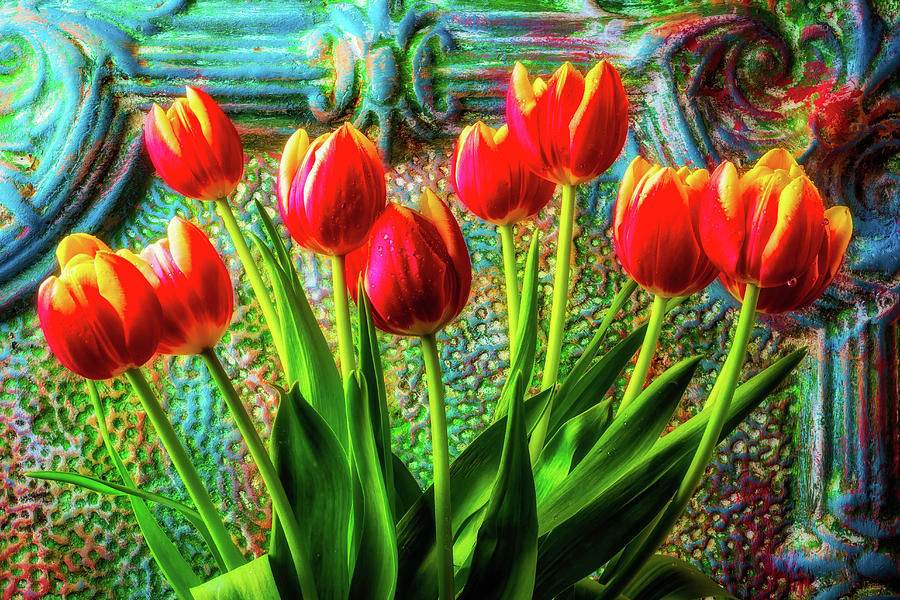 Colorful Spring Tulips Photograph by Garry Gay