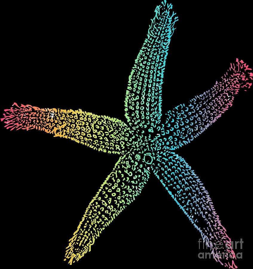 Colorful Starfish Digital Art