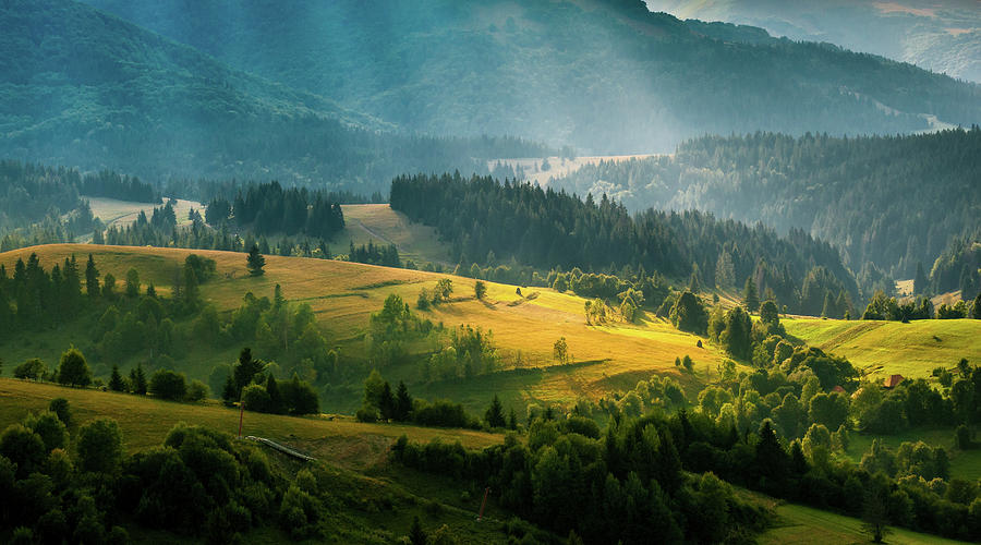 Colorful summer landscape in the Carpathian mountains. Ukraine ...