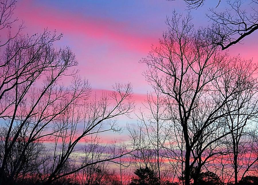 Colorful Sunrise Photograph by Betty Buller Whitehead