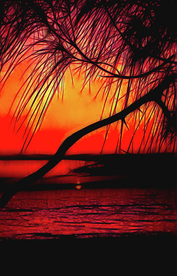 Colorful Sunset Photograph by Rosalie Scanlon