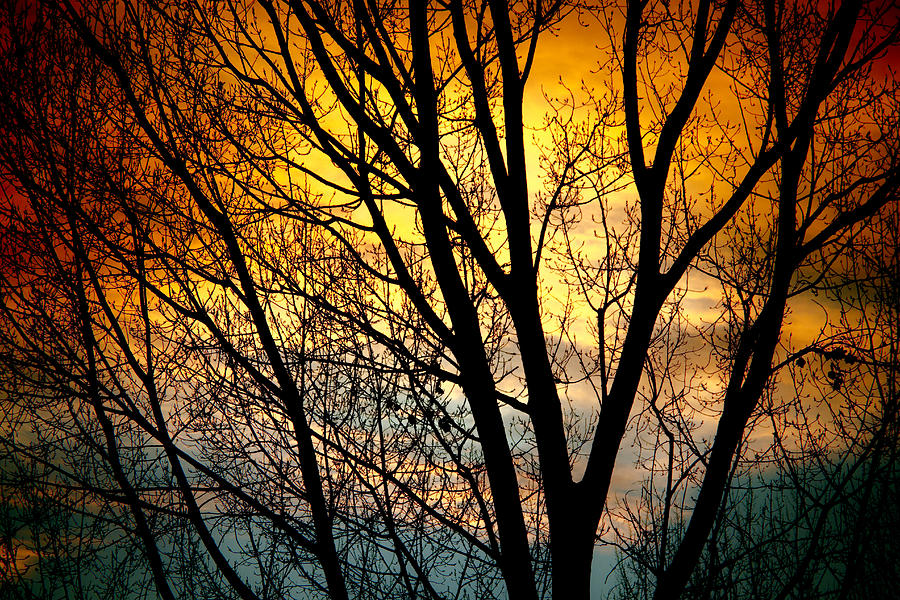 Colorful Sunset Silhouette Photograph by James BO Insogna