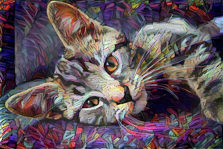 Colorful Tabby Kitten Digital Art by Peggy Collins