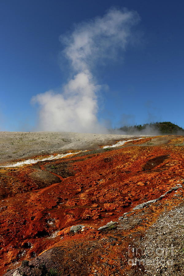 Colorful Thermal Area  Photograph by Christiane Schulze Art And Photography