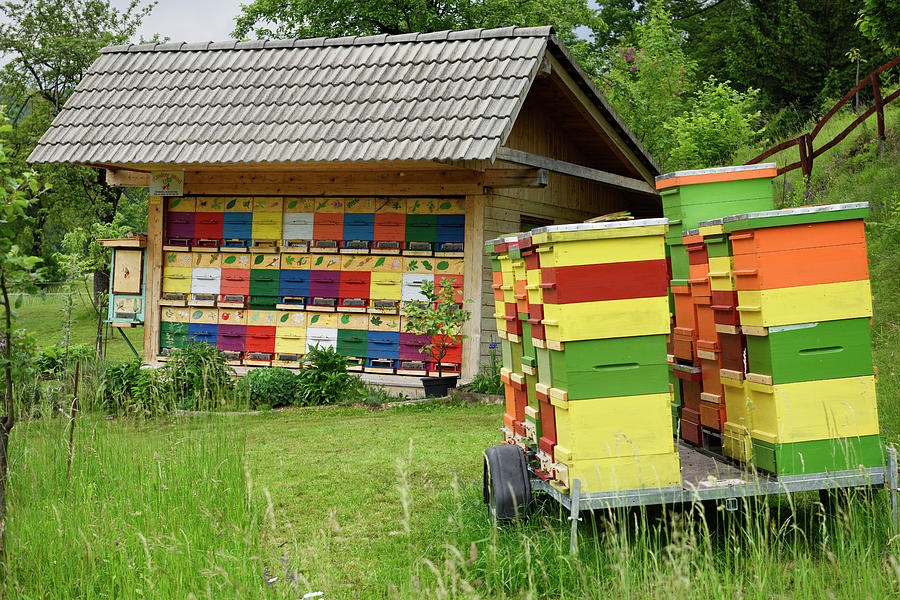 Colorful traditionally painted apiary beehive house and boxes at ...