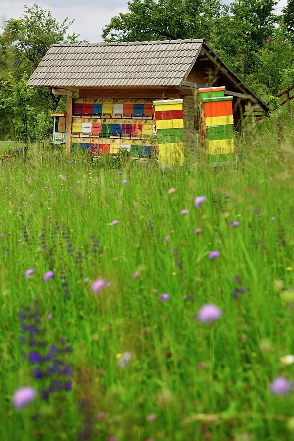 Colorful traditionally painted apiary beehive house at Kralov Me ...