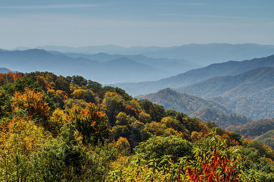 Colorful Trees and Haze in the Smokies Photograph by Teri Virbickis