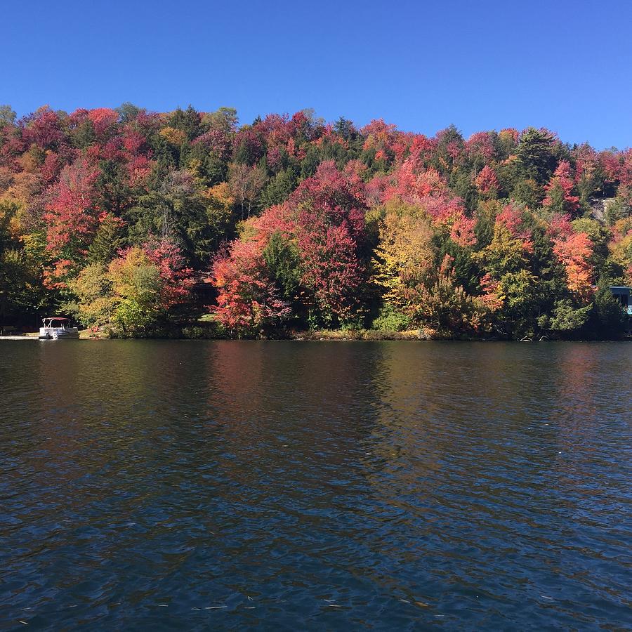 Colorful Trees Over The Lake Photograph