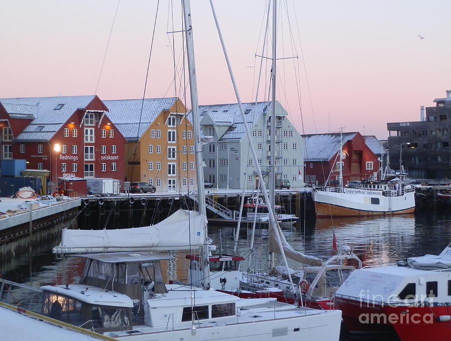 Colorful Tromso harbor Photograph by Margaret Brooks