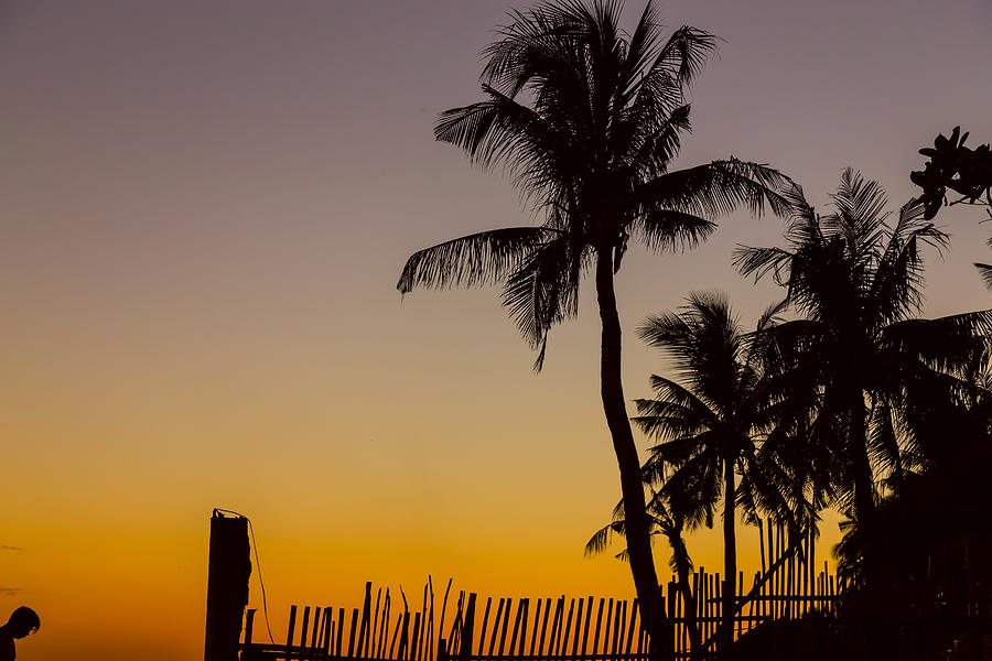 Colorful Tropical Paradise Sunset Silhouettes Photograph by James BO Insogna