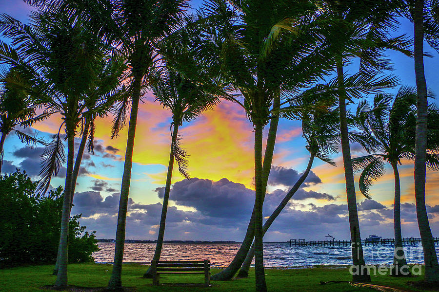 Colorful Tropical Sky Photograph by Tom Claud