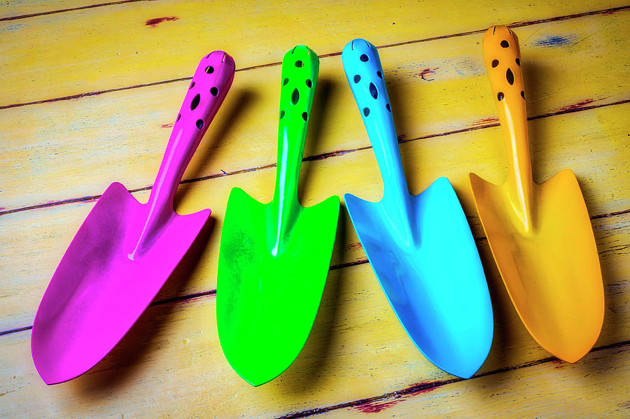 Colorful Trowels Photograph by Garry Gay