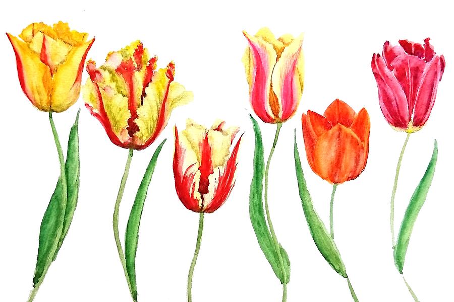 Colorful Tulips Painting by Color Color - Fine Art America