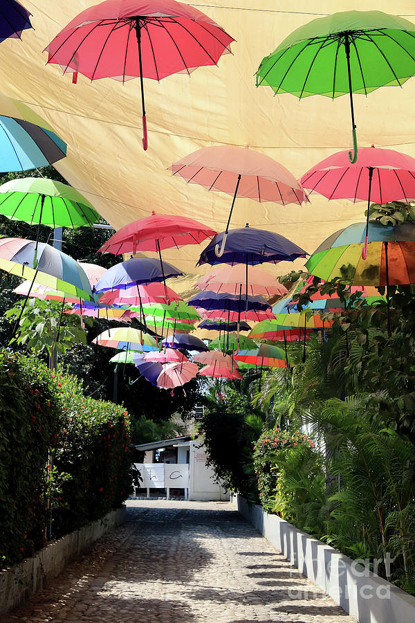 Colorful Umbrellas Photograph by Teresa Zieba