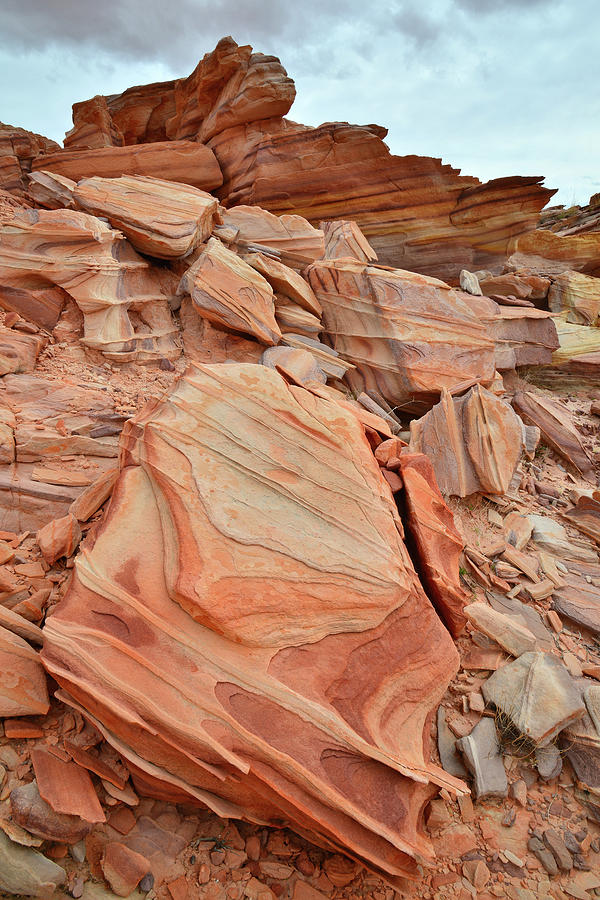 Colorful Valley of Fire Standstone Photograph by Ray Mathis