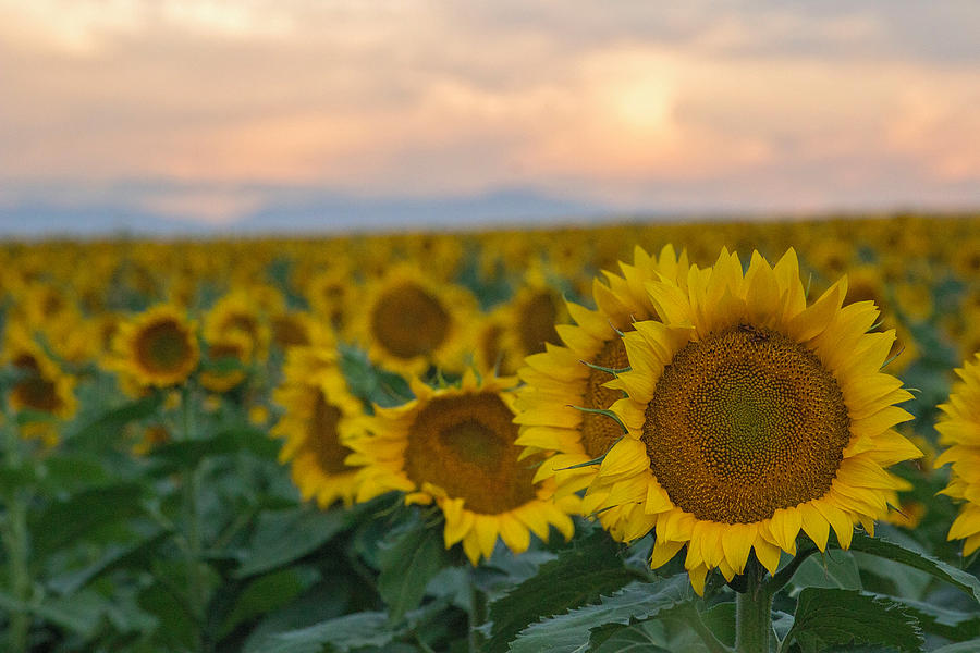 Colorful View Photograph by Becca Buecher | Fine Art America