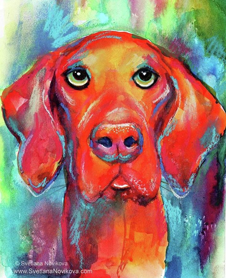 Dog Photograph - Colorful Vista Dog Watercolor And Mixed by Svetlana Novikova