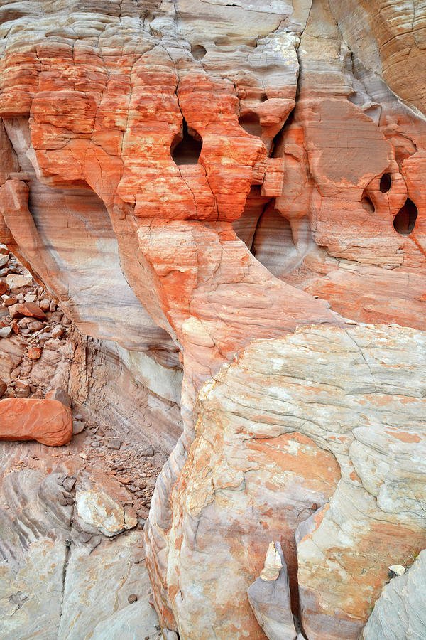 Colorful Wall of Sandstone in Valley of Fire Photograph by Ray Mathis