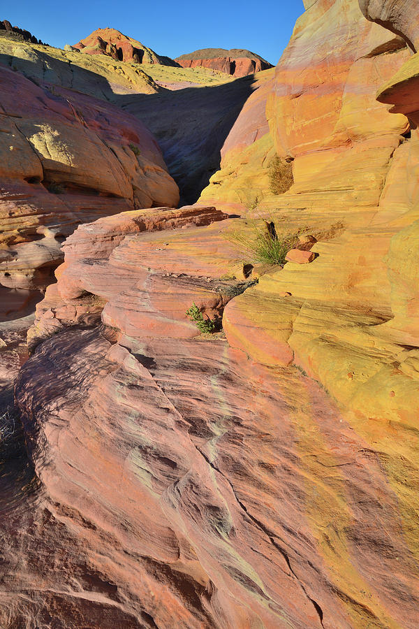 Colorful Walls of Pastel Canyon in Valley of Fire Photograph by Ray Mathis