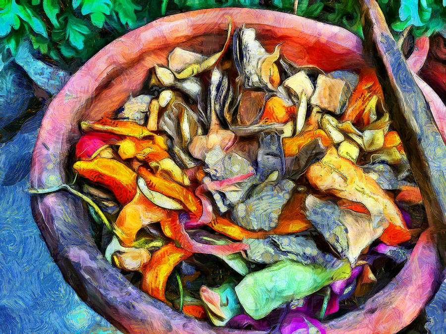 Colorful waste ready for composting Photograph by Ashish Agarwal