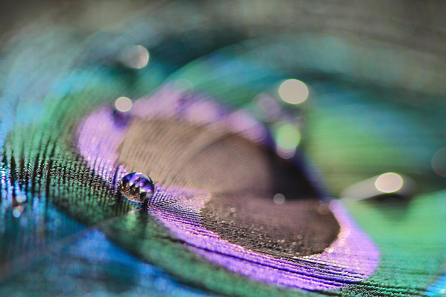 Colorful Water Droplet Photograph by Angela Murdock