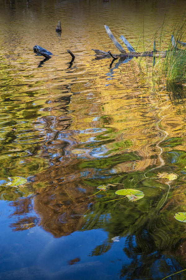 Colorful Water Reflections in Autumn Photograph by Randall Nyhof