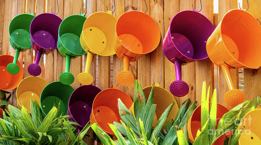 Colorful Watering Cans Photograph by Cathy Donohoue