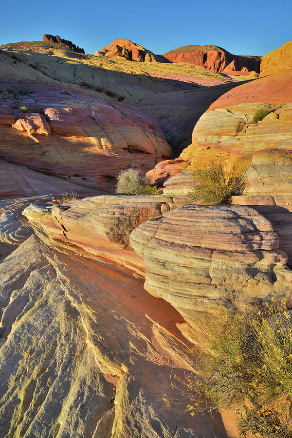 Colorful Waves of Sandstone in Pastel Canyon, Valley of Fire Photograph by Ray Mathis