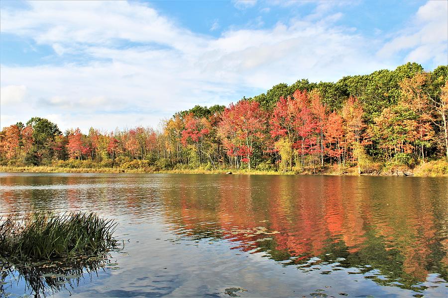 Colorful World Photograph by Claudette Letendre - Fine Art America