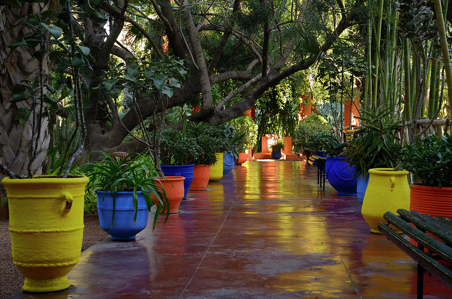 Colorful yellow blue and orange planters on a walkway in Majorel Photograph by Reimar Gaertner