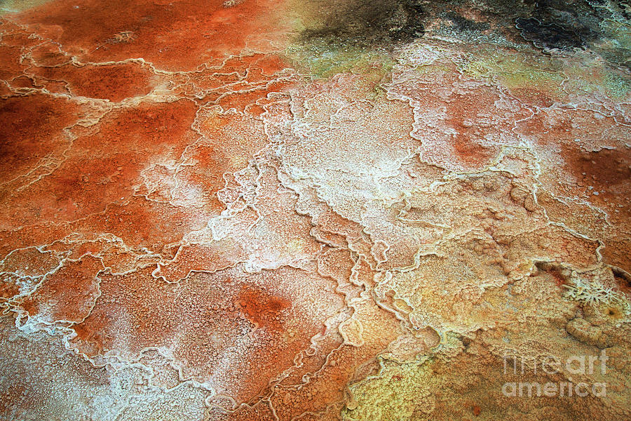 Colorful Yellowstone Bacterial Mat and limestone Photograph by Bruce Block