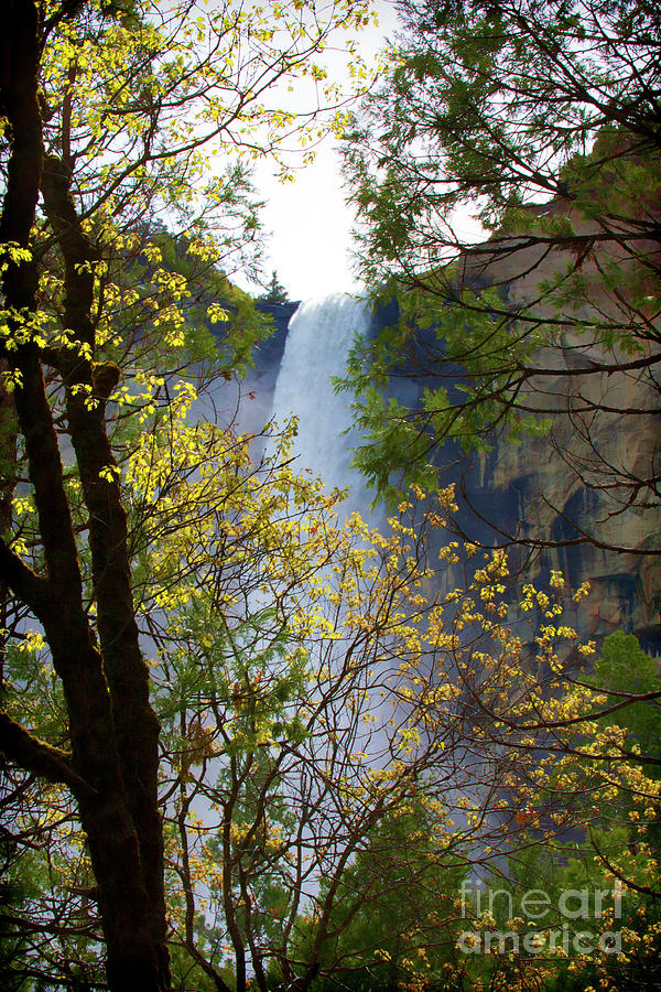 Colorful Yosemite Falls Photograph by Chuck Kuhn