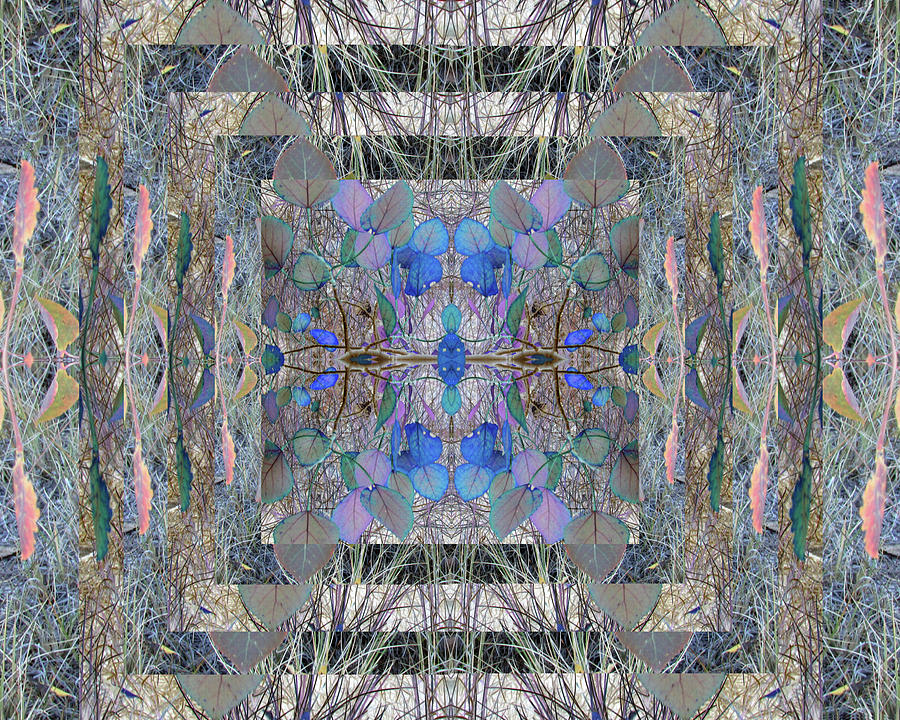 Colorized Aspen Kaleidoscope Digital Art by Julia L Wright