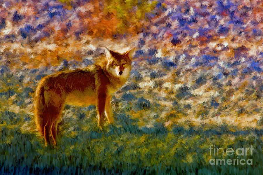 Colorized Death Valley Coyote Photograph by Blake Richards