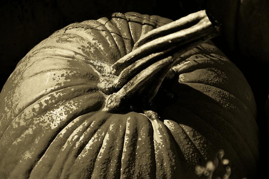 Colorless Pumpkin Photograph by John Schneider