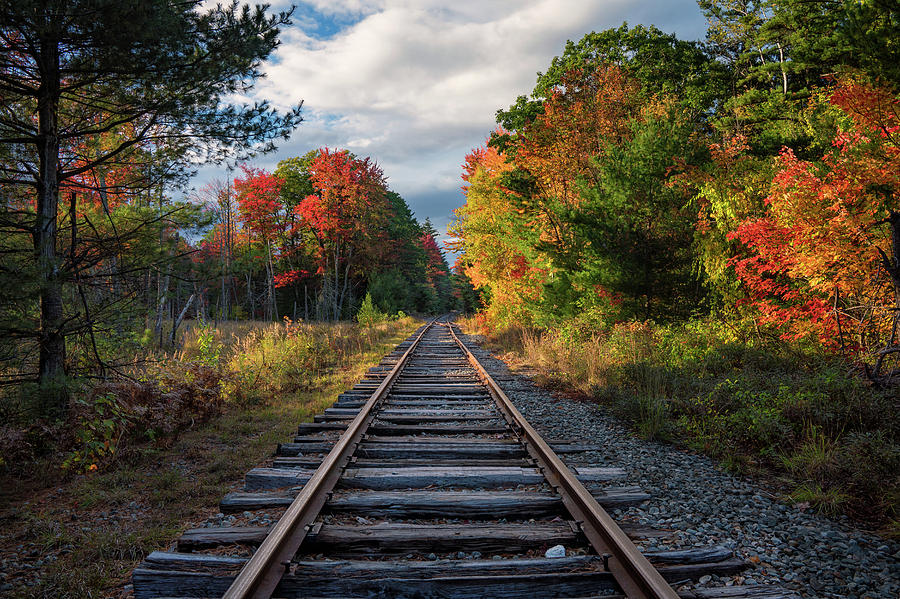 Colors Along the Tracks Photograph by Darylann Leonard Photography