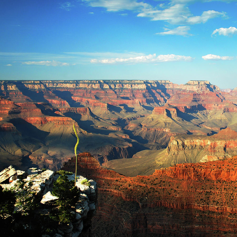 Grand Canyon National Park Photograph - Colors and Depth of Grand Canyon - Square Format by Gregory Ballos