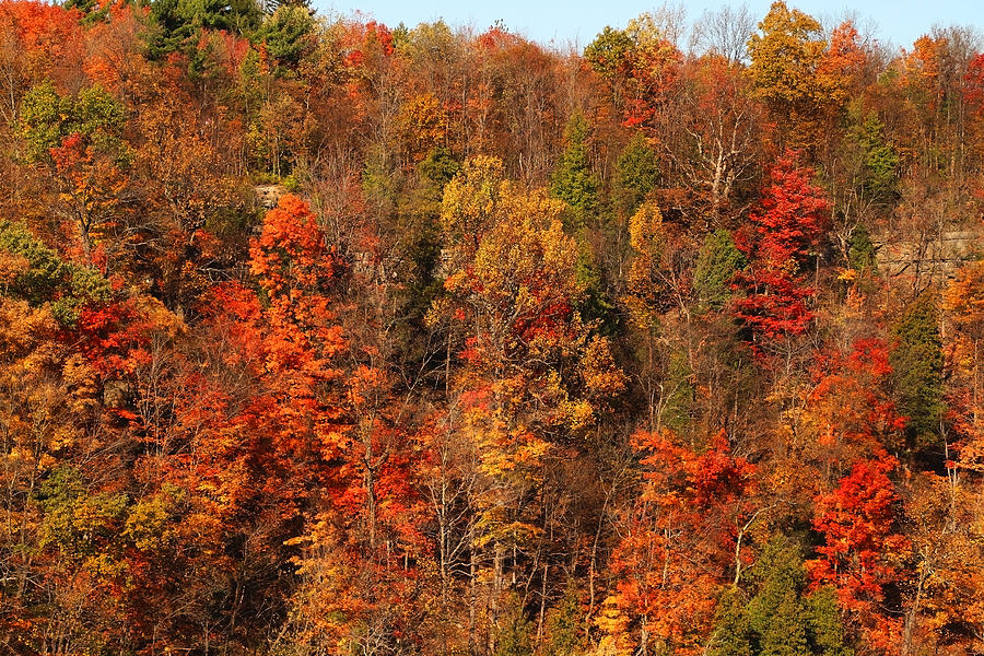 Colors Photograph by David Stasiak - Fine Art America