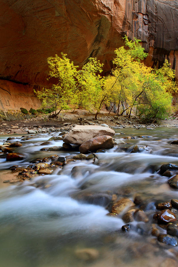 Colors in the Narrows of Zion Photograph by Pierre Leclerc Photography