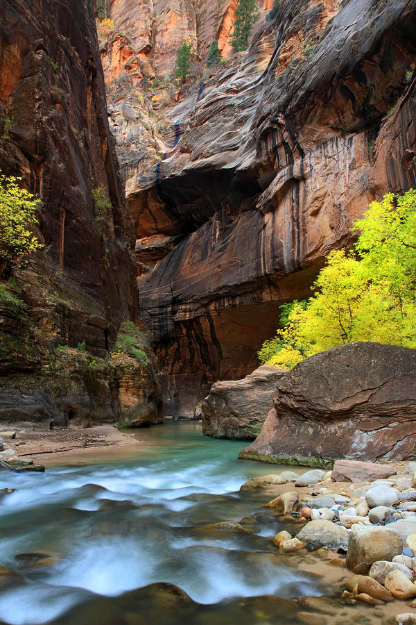 Colors in the Virgin Narrows of Zion Photograph by Pierre Leclerc Photography