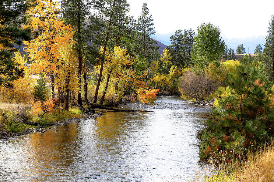 Fall Photograph - Colors Of Autumn River by Athena Mckinzie
