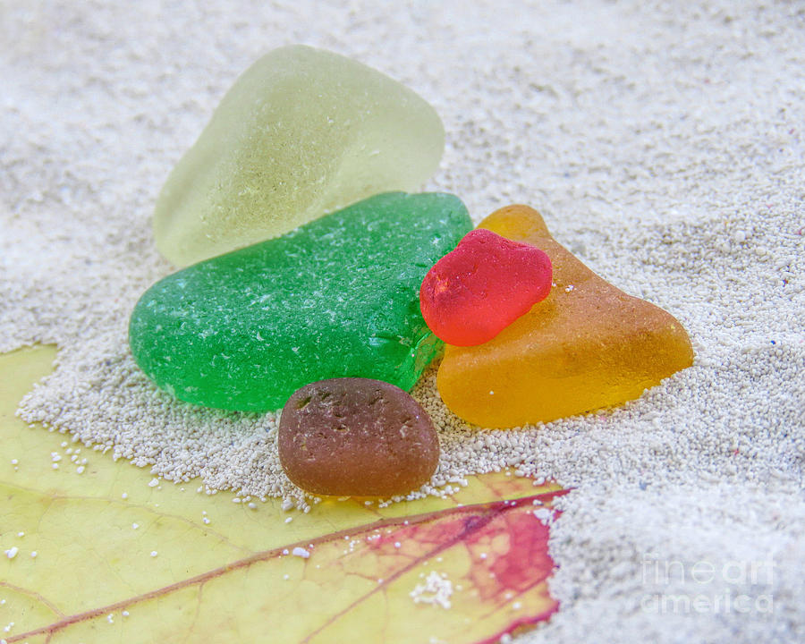 Colors of Autumn Sea Glass Photograph by Janice Drew