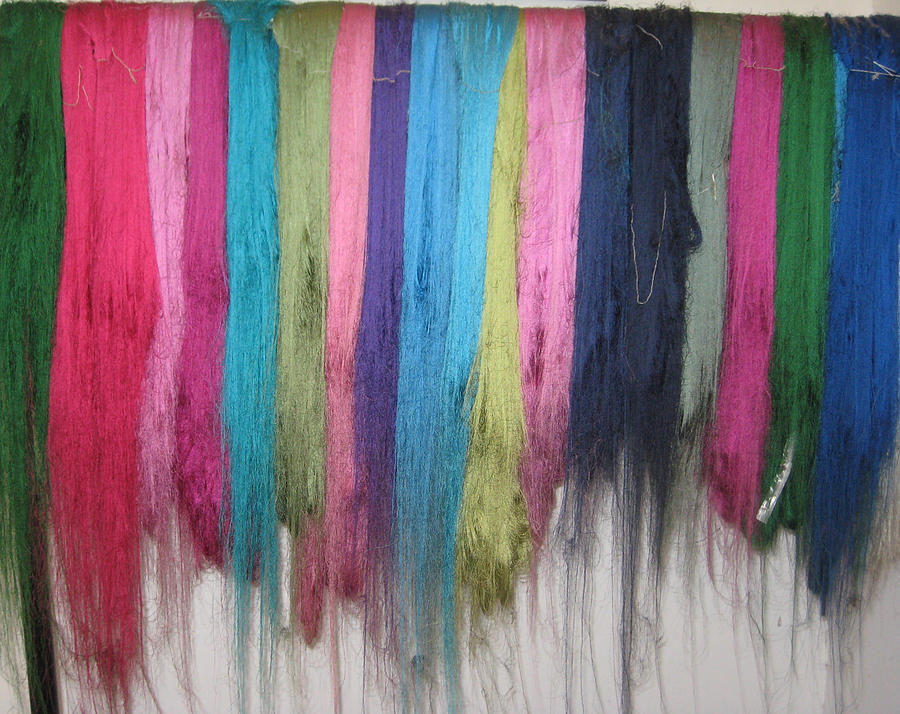 Colors of Cashmere Photograph by Lisa Boyd