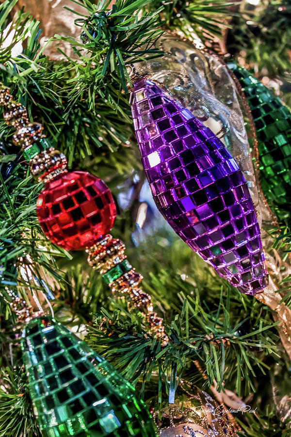 Colors of Christmas  Photograph by Joann Copeland-Paul