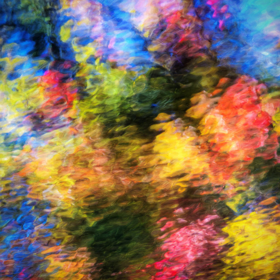 Abstract Photograph - Colors of Fall by Vicki Jauron