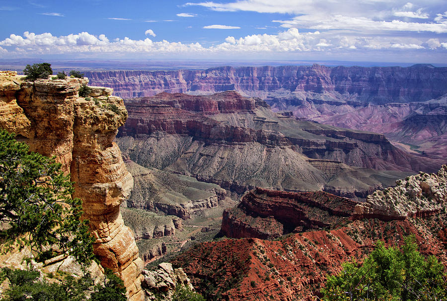 Colors of Grand Canyon Photograph by Carolyn Derstine