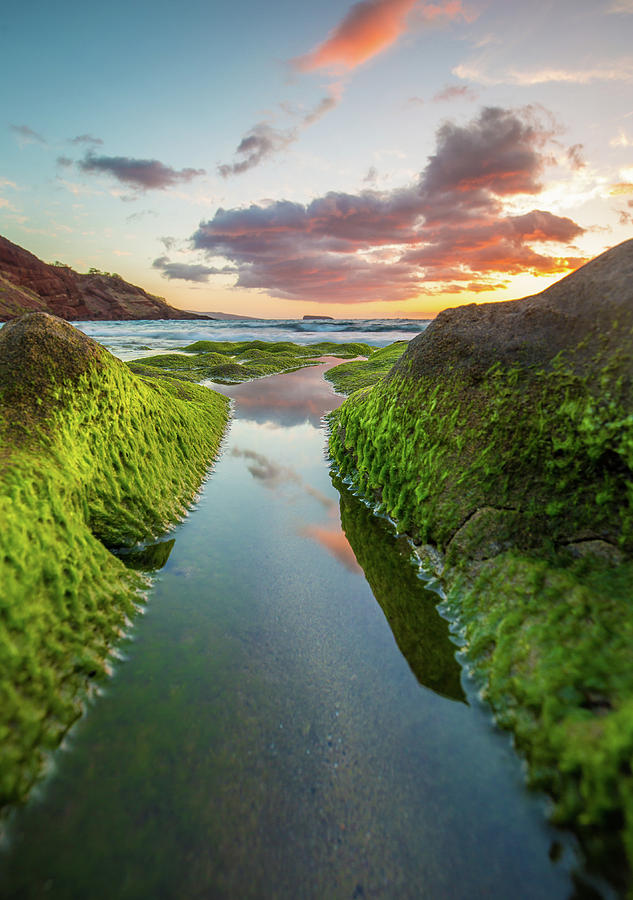 Colors of Maui Photograph by Drew Sulock