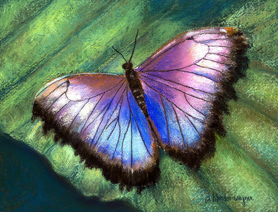 Colors Of Nature - Hunawihr Morpho Photograph by Arline Wagner