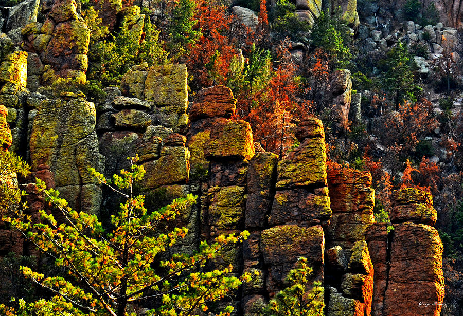 Colors Of Nature - Chiricahua National Monument Park Photograph by George Bostian